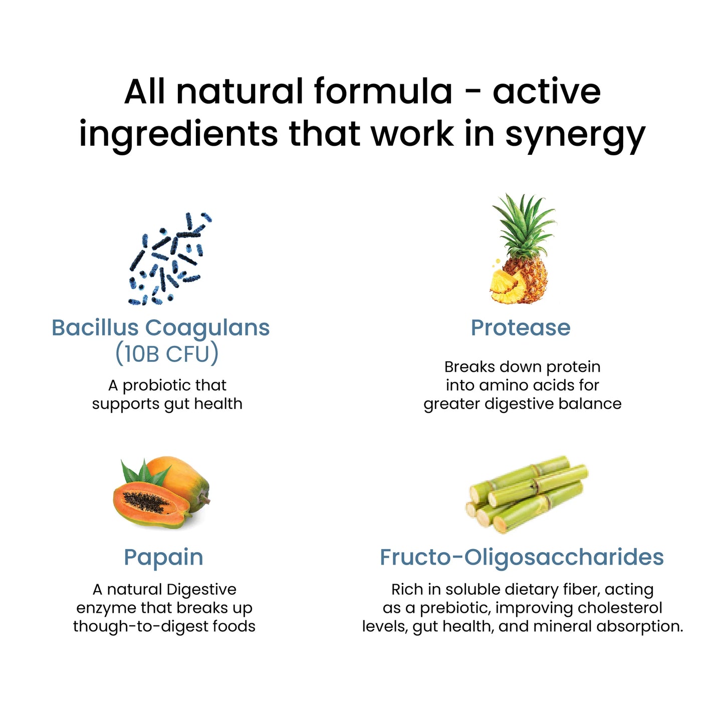 Wellbeing Nutrition Healthy Gut