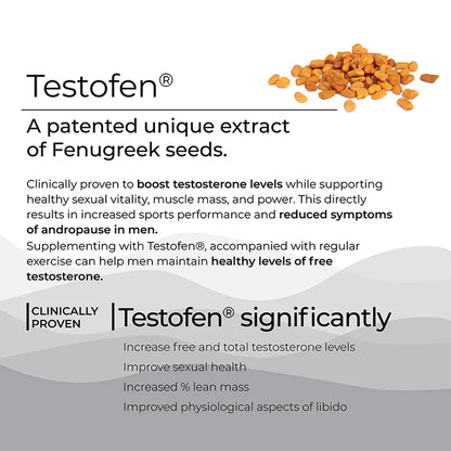 Testo Power